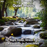 Quiet Music Pt. 69 - Relaxing Music by Melina Reat & Yoga & Relaxing music