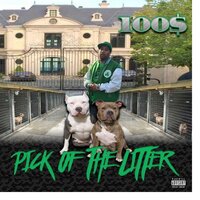 In the Kitchen - 100$