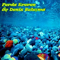 Dansa Çağrı - Ferda Ereren