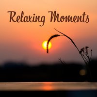 Your Wellbeing - Relaxing Music Oasis