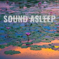 Calming Lotus Pond Water Sounds, Pt. 4 - Elijah Wagner