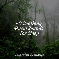 Summer at the Lake - Sleep Baby Sleep & Música De Relajación Para Dormir Profundamente & Relaxed Minds