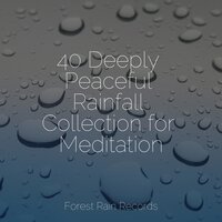 Hydrophonic Rains - Rain Sounds & Rain Sound Studio & The Rain Library