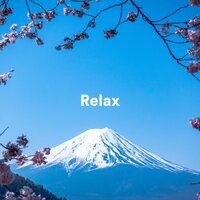 Solo Flight - Relax & Silent Meditation Zone & Therapy Music Sanctuary