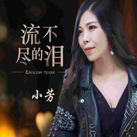 流不尽的泪 - 小芳