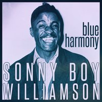 Fattening Frogs For Snakes - Sonny Boy Williamson