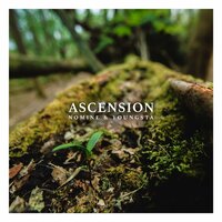 So Within - Nomine & Youngsta & Animai