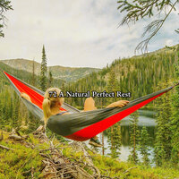 Гармония Колыбельная - Relax Around the World Studio