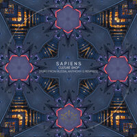 Culture Shop - Sapiens & Anthony G