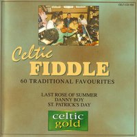 Tuirne Mhairne / Planxty Irwin - Levine Andrade