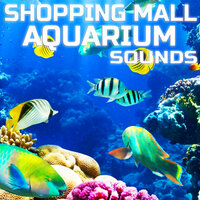 Aquarium White Noise - Shopping Mall Aquarium Sounds & Universal Soundscapes & Universal White Noise Soundscapes & Sleeping Sounds & Universal Nature Soundscapes & Deep Sleep Collection