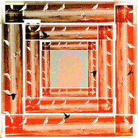 Lifeto - The Daisy Chain