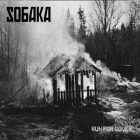 Bunya brutva - Sobaka