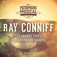 A Wonderful Guy - Ray Conniff
