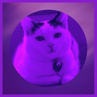 Background for Cute Kitten - Cat Music Relaxation