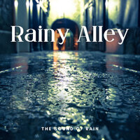 Delightful Recollection - Rain Sounds ACE & Rain Wonder & Recorder Rain