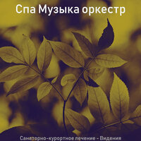 Чувство (Спать) - Спа Музыка оркестр