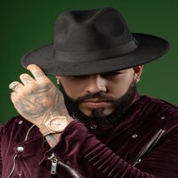 Pitaste - One Z