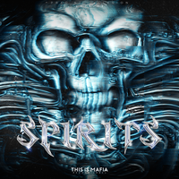 SPIRITS - prxd.aj & ILLXSION