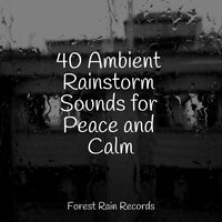 Forest Sounds (Birds) - Alpha Waves & Mother Earth Sounds & Brown Noise