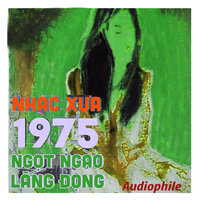 Trả Lời Anh - Phương Phạm Guitarist
