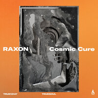 Conscious Technologies - Raxon