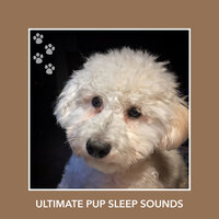 Lifetime Of Kinship - Dog Chill Out Music