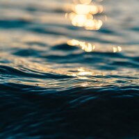 Calming Rains Meditation - Fresh Water Sounds for Inner Peace & Sonido Del Bosque y Naturaleza & The Relaxing Sounds of Water