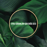 Uykulu Yağmur - Gevşeme Meditasyon Akademisi