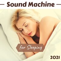 Healthy Sleep - Sleep Herbs