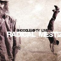 Scraping the Barrel - Shooglenifty