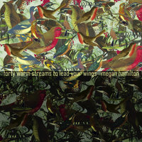 Late Bloomer - Megan Hamilton