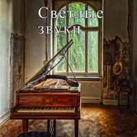 Тени дождя - Глубокие тени & Лунная мелодия & Nature Sounds