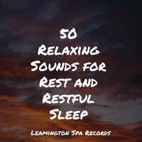 Inner Calm - Nature Ambience & Organic Nature Sounds & Study Music