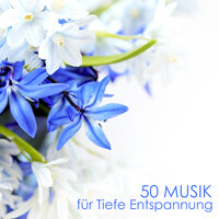 Progressive Muskelentspannung - Entspannung Tribe