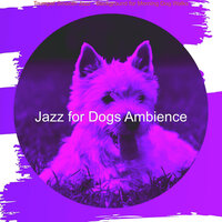 Mind-blowing Music for Contemplating - Jazz for Dogs Ambience