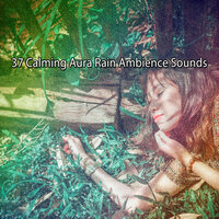 Фон Буря - Rain Sounds Factory STHLM
