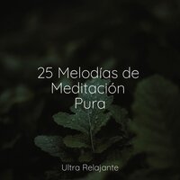 Océanos De Mañana - Ruido Blanco Para Bebes & Cancion de Cuna & Fabricantes De Lluvia