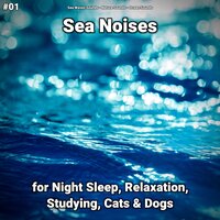 Sea Noises Pt. 18 - Sea Waves Sounds & Nature Sounds & Ocean Sounds