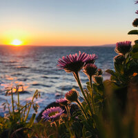 432hz Smiling Ocean Waves - Heavenly Realms & Dramatic Ink & Nylana & Bebé De Ruido Blanco