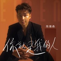 你就是我的人 - 陈雅森