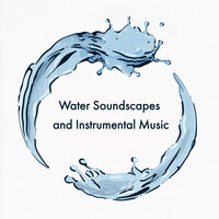 Woodland Birds - Rainforest & Nature Sounds Relaxation: Music for Sleep, Meditation, Massage Therapy, Spa & Serenity Nature Sounds Academy