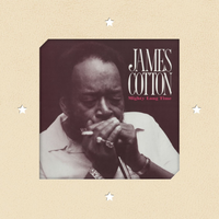 Three Hundred Pounds of Joy - James Cotton