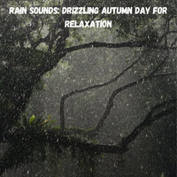 Rain Noise for Peace - Rain Sounds For Sleep & The Nature Soundscapes & White Noise