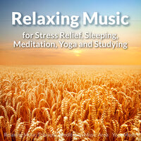 Meditation Music for Health - Relaxing Music Therapy & Meditation Music Area & Yoga Music