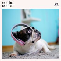 Frecuencias de Chakra para Perros - Música Para Perros & Música Relajante para Perrors & Relajante para Perrors & Club de Música para Perros