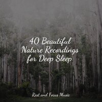 Cloud Horizons - Especialistas de Musica para Dormir & Guided Meditation & Best Relaxing Spa Music