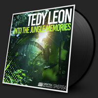 The Woman Of The Night - Tedy Leon