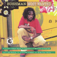 Step Pon Crime - Bushman