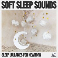 Sleep Music - Sleep Lullabies for Newborn